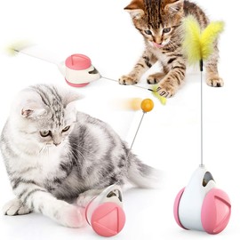 HESHPAWS Interactive Cat Toys Catnip Ball Toy,Cat Toys Chaser for Indoor Cats,Cat Balance Swing Car Toy,360 Degree Self Rotating Ball Car Toy (Pink)
