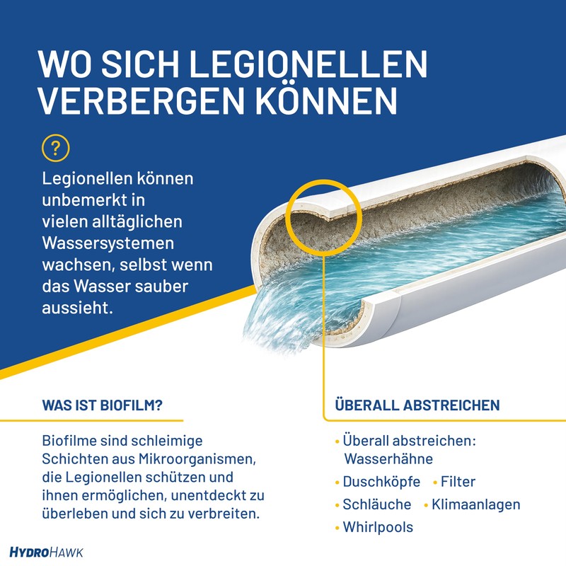 HydroHawk Legionella Swab Test for Water Outlets - Pack of