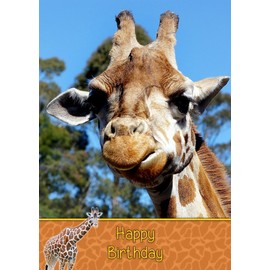 Giraffe Birthday Card