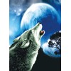 Ladybird Howling Wolf Cross Stitch Kit 18.25 x 25 Inch