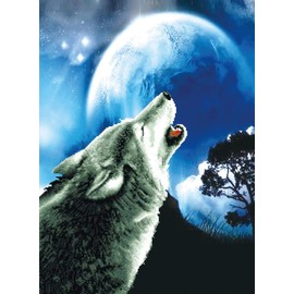 Ladybird Howling Wolf Cross Stitch Kit 18.25 x 25 Inch Complete Kit for Square Embroidery Picture, Craft Hobby for Adults and Children Aged 8+