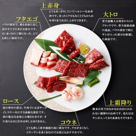Suganoya Kumamoto Fresh Horse Sashimi Blocks, Set of 6 Types, 15.5 oz (440 g), Large Toro 2.8 oz (80 g), Top Marbled A (Simofuri), 2.8 oz (80 g), Loin (Lean Meat), 2.8 oz (80 g), Phthalego 2.8 oz (80
