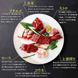 Suganoya Kumamoto Fresh Horse Sashimi Blocks, Set of 6 Types, 15.5 oz (440 g), Large Toro 2.8 oz (80 g), Top Marbled A (Simofuri), 2.8 oz (80 g), Loin (Lean Meat), 2.8 oz (80 g), Phthalego 2.8 oz (80