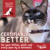 Tender & True Ocean Whitefish & Potato Recipe Canned Cat