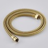 Esnbia 59 Inch Stainless Steel Shower Hose, Brushed Gold