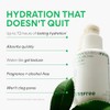 innisfree Hydration Heroes Green Tea Skincare Routine Set: Hydrate &
