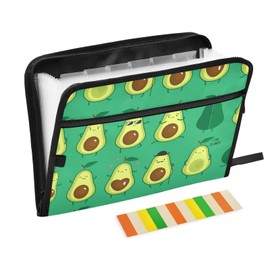 VIGTRO 13 Pocket Accordion File Organizer Summer Avocado Green Expanding File Folder with Zipper & Labels, Cute Letter A4 Paper Document for Office Classroom