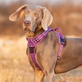 No Pull Dog Harness Reflective Dog Vest Harness with Handle Front Clip Padded Dog Harness for Puppy Medium Large Dogs 3 Buckles Easy to Put on & Take Off Purple XS