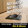 Big Mouse Glue Traps – Powerful Sticky Eco-Friendly Glue Boards,