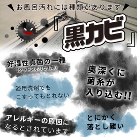 LEC S00116 Gekiochi Kurokabi-kun Bath Grout Polishing Brush (Brush with Abrasive Material & Soft Brush)