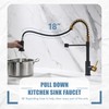 GIMILI Black and Gold Kitchen Faucet with Pull Down Sprayer