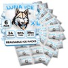 Dry Ice Packs for Shipping XL - Long Lasting ice