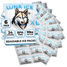 Dry Ice Packs for Shipping XL - Long Lasting ice Packs - 24+ Hour Freeze Power - BPA Free - 6 Pack Bulk 3 lb – Hielo Seco - Reusable Gel Bricks for Food