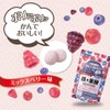 オリヒロ かんでおいしいチュアブルサプリ 鉄＋葉酸 120粒 約30日分 RPJセット ORIHIRO