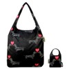 Re-Uz Trendy Folding Reusable Waterproof Carrier Shopper Supermarket Gym Swim