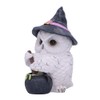 Nemesis Now Owl Potion 17.5 cm White