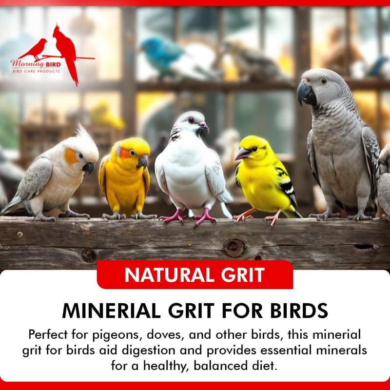 Morning Bird Pigeon Grit - Healthy & Nutritious Bird Food