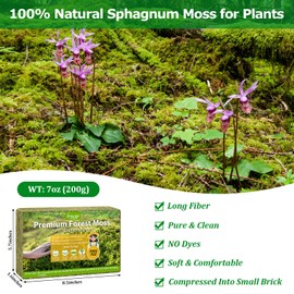 Legigo 7OZ Premium Forest Moss for Plants, 8 QT Natural Green Sphagnum Moss for Potted Plants, Dried Orchid Moss Potting Mix, Soft Real Moss Decorative for Houseplants Orchids Succulents Reptiles