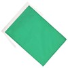 AZ FLAG Race officer green Flag 18'' x 12'' cords