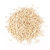 Sunshine Seeds White Quinoa/ Chenopodium Quinoa Seeds (300) / FLORIDA