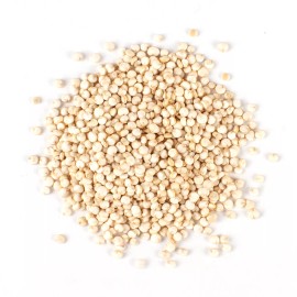 Sunshine Seeds White Quinoa/ Chenopodium Quinoa Seeds (300) / FLORIDA GROWN / ORGANIC