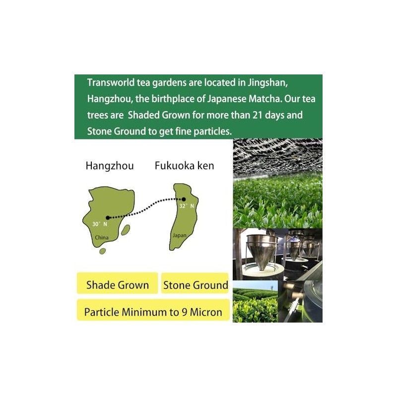 Jiuyu Té Verde Matcha Orgánico En Polvo de Primera Cosecha,