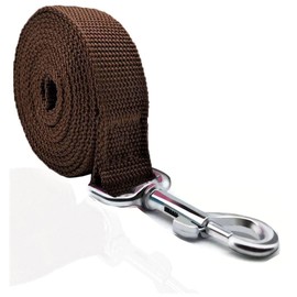 TAIAN 4FT/5FT/6FT Strong Dog Leash, Nylon Dog Leashes for Small Medium Large Dogs (1 in x 4 ft, Brown)