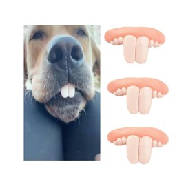 BWESOO 3Pcs White Fake Teeth Fake Teeth for Dogs,Dog Toys,Funny Dog Teeth Braces, Dog Christmas Costume Suitable Dog Chew Toys Pet Supplies Pet Supplies