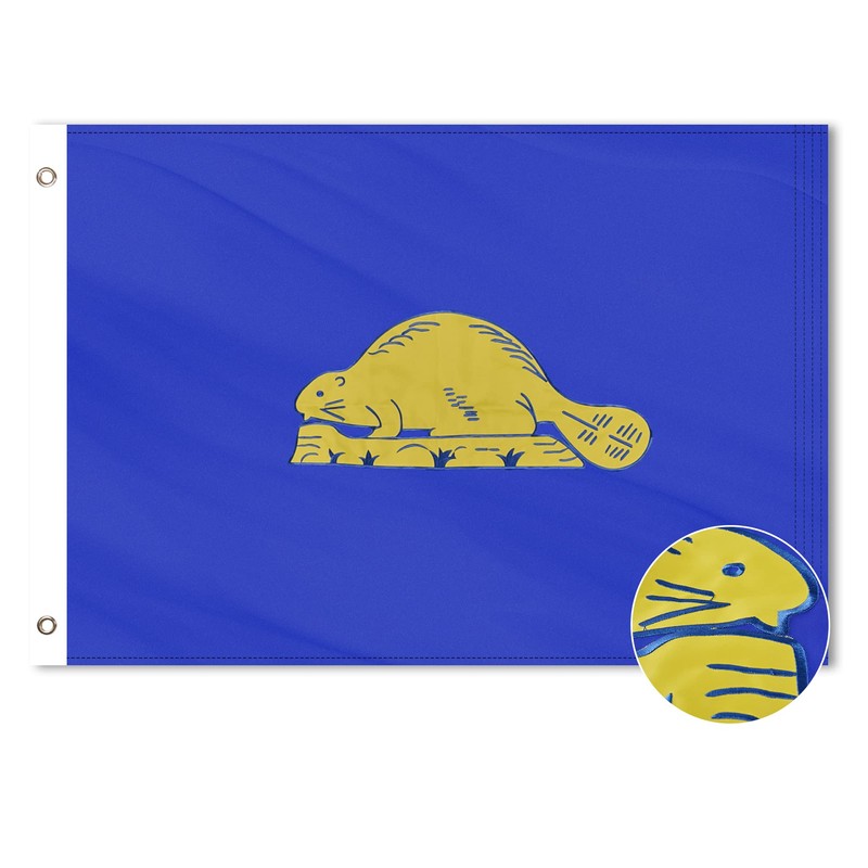 VICDRIA Oregon State Flag, 4x6 Ft, Deluxe Full Embroidered Heavy