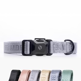 2026 New Edition, Fei & Eve MagEase Dog Collar - Patented Magnetic Buckles | Fur-Safe | Premium 210D Nylon | 450LB Escape-Proof | Adjustable Fit | Medium (Twilight Gray)