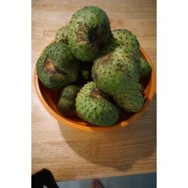 Tree SOURSOP TREE Guanábana 4''  Tropical Fruit Tree In Pot