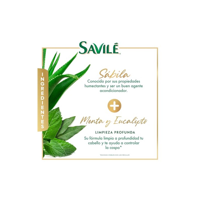 Savilé Shampoo Menta y Eucalipto, Blanco, 1000 ml