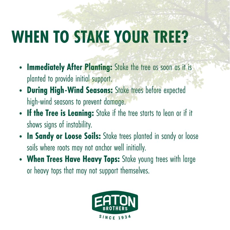 Eaton Brothers Tree Stake Kit – Complete Young Tree Support
