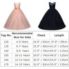 Big Girl Sleeveless Lace Flower Girl Gray Princess Dress Tulle