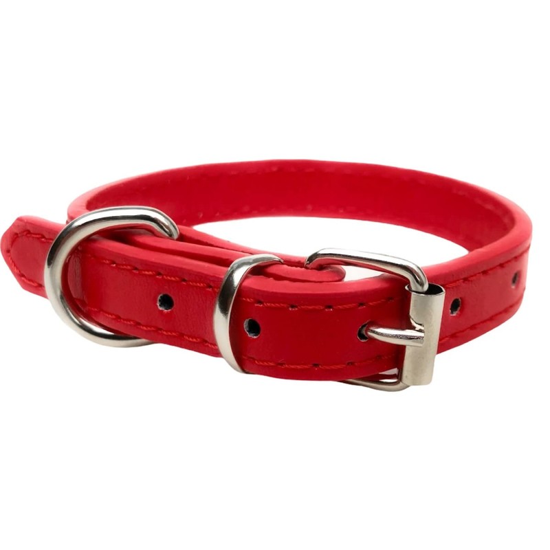 Vibrant Leather Dog Collar for Puppy, Cat, Kitten, Dogs -