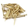 Design61 50x Steel Pins Steel Nails Skirting Board Pins Nail