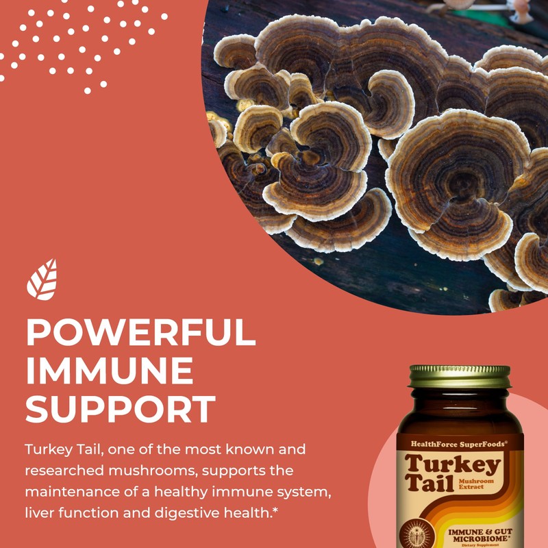 HEALTHFORCE SUPERFOODS Turkey Tail - Capsules - 90 Vegan Capsules