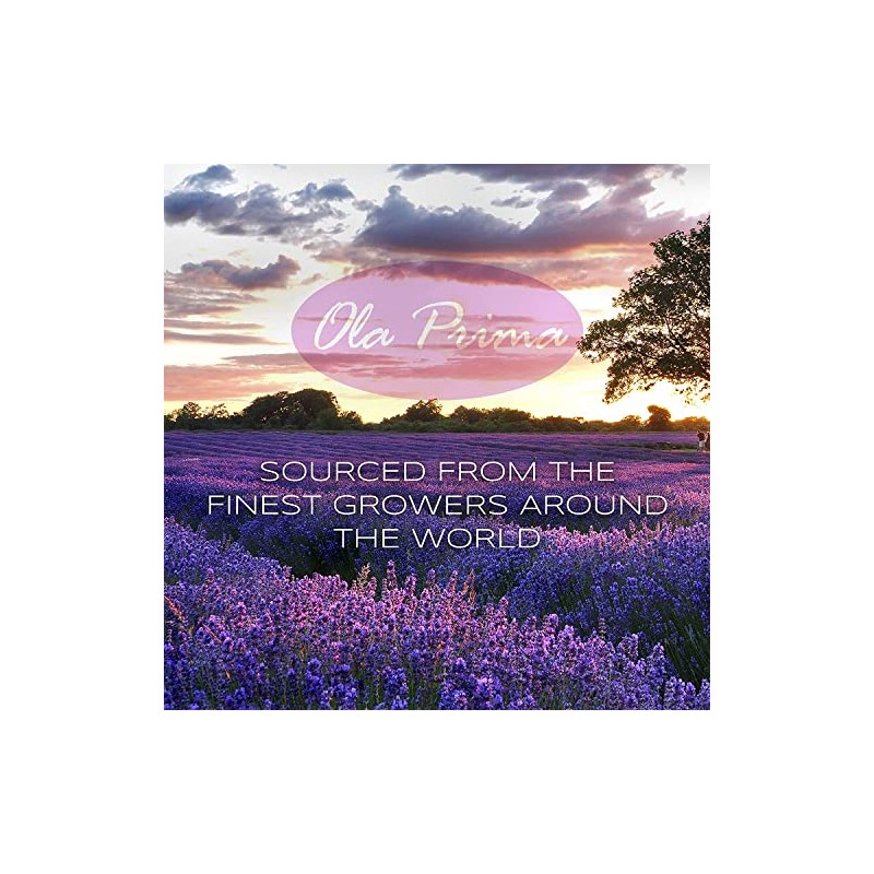 Ola Prima Lemongrass Essential Oil 4 oz Lemon Grass Essential
