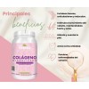 Colágeno Hidrolizado A&g Persea Sabor Arándano Bote 1.2kg