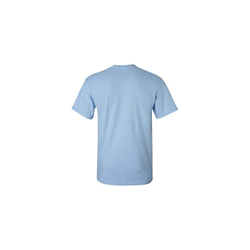 Gildan Blank T-Shirt (G5000)(Light Blue)