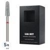 BESSIE Leabit Arkhard Nail Bit XF, 5 pieces, silver / BESSIE 리아비트 아크하드 네일비트 XF, 5개, 실버