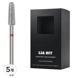 BESSIE Leabit Arkhard Nail Bit XF, 5 pieces, silver / BESSIE 리아비트 아크하드 네일비트 XF, 5개, 실버