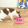Conlun Cat Dog Bowls with Silicone Feeding Mat, No Spill