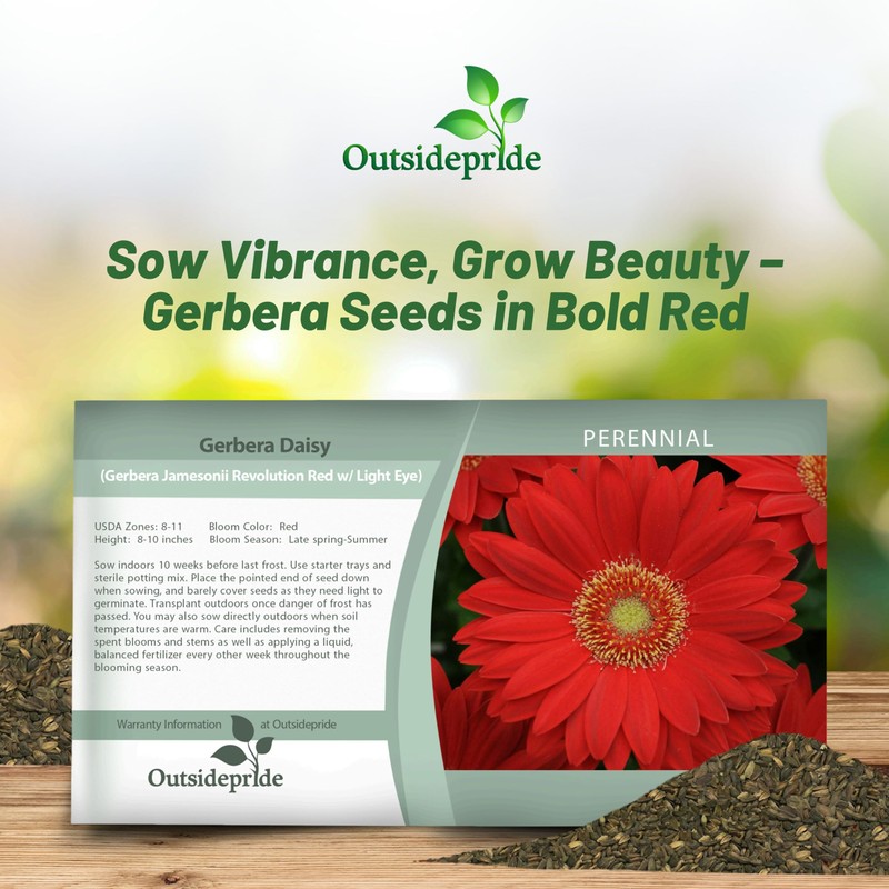 Outsidepride Red Gerbera Seeds - 20 Pcs Perennial, Compact &