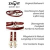 Biothane® Reins - Closed Reins with Scissor Carabiner. High Quality,