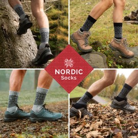 NORDIC Socks 2 Pairs, Merino Wool Walking Socks, Outdoor Socks, Anti-Blister Performance Socks (10-12, Explorer)