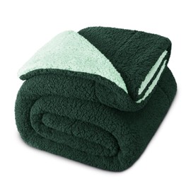 Exclusivo Mezcla Reversible Queen Size Sherpa Fleece Blanket, Soft Plush Blanket for Bed, Thick Warm Fluffy Blankets for Winter, 90x90 Inches, Forest Green/Mint