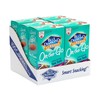 Blue Diamond Almonds, Oven Roasted with Sea Salt, 100 Calorie