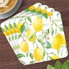 Shudehill Giftware Lemon Grove Coasters Set Of 4