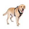 APDEXY No Pull Dog Harness with 2 Leash Clips, Reflective